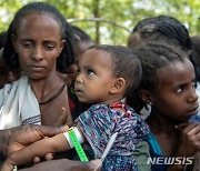 유엔 식량안보위 "작년 기아인구 8억명..국제사회 협력 필요"