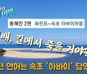 [영상] 북천 연어는 '속초 아바이' 닮았다