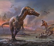 [다이노+] 1억2500만 년 전 英 물가를 거닐던 신종 스피노사우루스 화석 발견