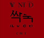 '컴백' 씨엔블루, '싹둑' 잘린 독특한 신곡 스포일러