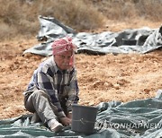 MIDEAST PALESTINIANS AGRICULTURE