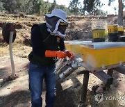 BOLIVIA BEES AGRICULTURE