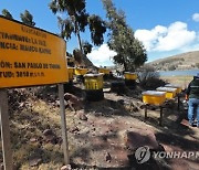 BOLIVIA BEES AGRICULTURE