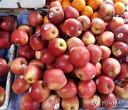 사과와 같이 둔 과일·채소가 맛없어지는 이유는?