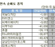 [표]코스닥 외국인 연속 순매도 종목(15일)