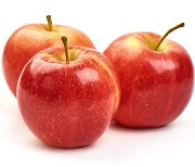 사과, 다른 과일과 함께 보관하면 안되는 이유는?