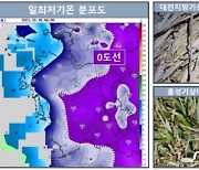 아침 영하권 추위에 대전·홍성 첫 서리..지난해보다 11~12일 빨라