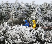 [오늘의 1면 사진] 10월 한파에 한라산 눈꽃