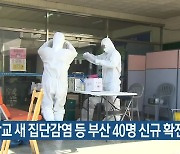 중학교 새 집단감염 등 부산 40명 신규 확진