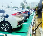 Green car sales in Korea top 200,000 from Jan-Sep, one out of six cars on the road