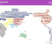 한국 연상 이미지 세계지도, K팝·K푸드 영향력 확인