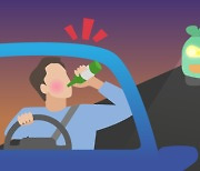 현직 경찰관 고속도로서 음주운전하다 나홀로 '쾅'