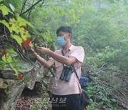 북한, 구월산 여우와 삵·강원도 왜가리 생태계 현지조사