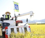 벼 수확 시연하는 이성희 농협중앙회장