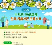보성군 영천리 농업유산마을, '소박한 차꽃축제' 개최