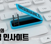 [김진수의 보험 인사이트]국감과 의무보험 그리고 보험사기