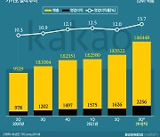 '국감 동네북' 카카오, 3Q 실적은 역대급 예고