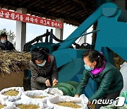 "올해 농사를 하루 빨리 결속"..북한 안악군 대추협동농장