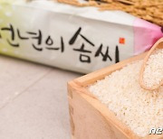 "탱글탱글하게 씹히는 맛" 부안 신동진쌀 온라인 할인 판매