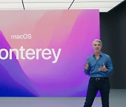 애플 맥OS '몬터레이', 이달 25일 정식 출시
