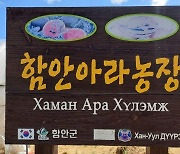 [함안소식] 함안수박 재배기술 국제화 달성..몽골에 시설수박 재배기술 전파
