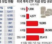 "美기업 83% 깜짝실적"..빅테크 노리는 서학개미