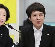 '대장동 국감' 반격 노리는 野..'李 저격수' 김은혜‧심상정 출격