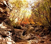 추색(秋色) 만끽 가을철 당일치기 여행 명소 [투얼로지]