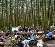 숲, 음악 그리고 사람  '제주도 자작나무숲'
