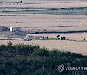 벼 수확하는 북한 주민들