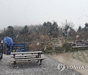 "눈이 왔어요" 첫눈 내린 발왕산