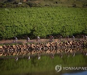 SOUTH AFRICA MOUNTAIN BIKING