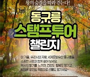 문화재청, 동구릉 걷기행사 '이 가을 왕의 숨결을 따라 걷다'