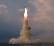 '요격 피하는' SLBM 발표에도..외교부 "북핵 막으려면 당근 줘야"