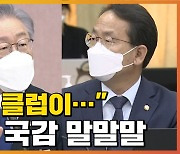 [자막뉴스] 이재명 "500억 클럽 됐을 것"..경기도 국감 말말말