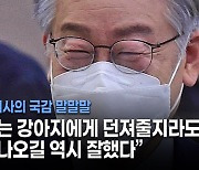 [사설] 대장동 超대박은 李 지사 결정 때문, 그래도 '국감 압승'이라 한다