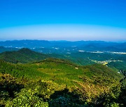 울창한 편백과 울긋불긋 단풍 물결 아름다운 문수산 국유림 명품숲