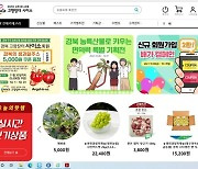 경북 농특산물 쇼핑몰 사이소 '날개'