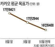 "규제 리스크 내년까지 지속될 것"..카카오 목표가 13만원으로 '뚝'