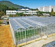 천안 스마트팜 오이·딸기·채소 시범 재배