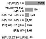 투기방지책 비웃듯..법인 '저가주택' 쓸어담아