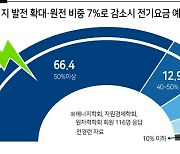 "탄소배출 감축목표 '과속'..원전비중 확대 바람직"