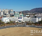 창원시, 'AI Love Changwon' 마산국화축제 연계해 열린다