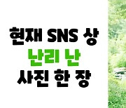 AOMG 공식 SNS에 '장충동 흰 보자기' 등장