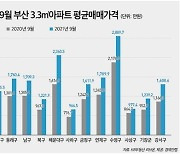 도시정비사업 기대감에 부산 아파트값 1년간 32% 상승