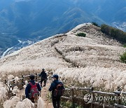 은빛 가을 속으로