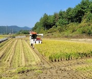 보은군 농업기술센터, 벼 수확 대행 사업 농가 호응