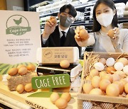 갤러리아百, '케이지 프리 달걀' 전환 선언..백화점 업계 최초