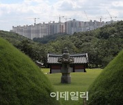왕릉 앞 아파트, 나무 심어서 가려라?..문화재청 "검토할 것"