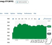 비트코인 ETF 3.20% 급등한 43.28달러에 마감(상보)